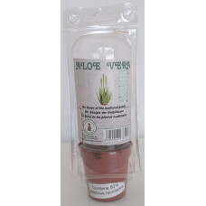 Cactus Canarias - Aloe Vera Pflanze mit Topf in Blisterpackung von Gran Canaria
