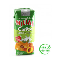 Millac - Caribe Leche y Frutas Fruchtmilch 200ml Tetrapack hergestellt auf Gran Canaria