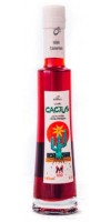 Bernardo´s - Licor de Cactus canario Tuno Indio Kaktuslikör 18% Vol. 200ml hergestellt auf Lanzarote