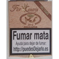Flor de Canarias - Delicados 25+2 Zigarillos Holzschatulle hergestellt auf Teneriffa