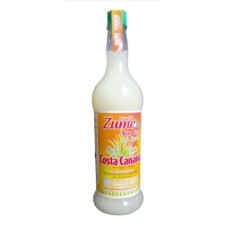 Costa Canaria - Zumo Aloe Vera con Stevia Saft 1l Glasflasche hergestellt auf Gran Canaria