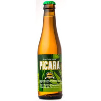 Isla Verde - Picara Cerveza Golden Ale Rubia Especial Bier 5,5% Vol. Glasflasche 330ml hergestellt auf La Palma