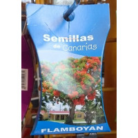 Semillas de Canarias - Flamboyan Samen von Teneriffa