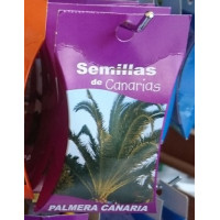 Semillas de Canarias - Palmera Canaria Samen von Teneriffa