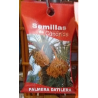 Semillas de Canarias - Palmera Datilera Samen von Teneriffa
